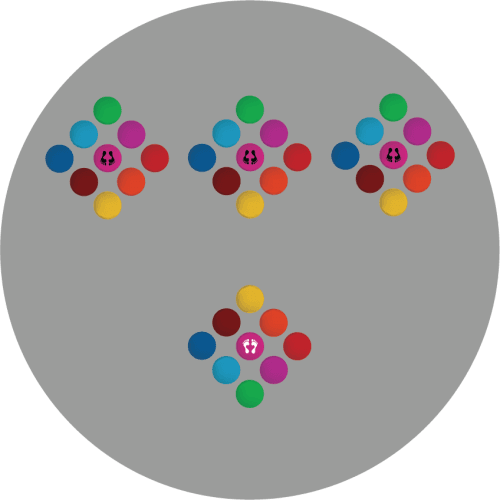 Lustro 4